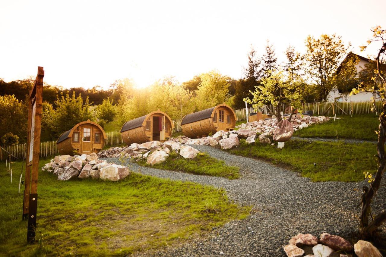 Complex Butoaiele Transilvaniei - Cazare & Spa - Natura - Relaxare Medias Luaran gambar
