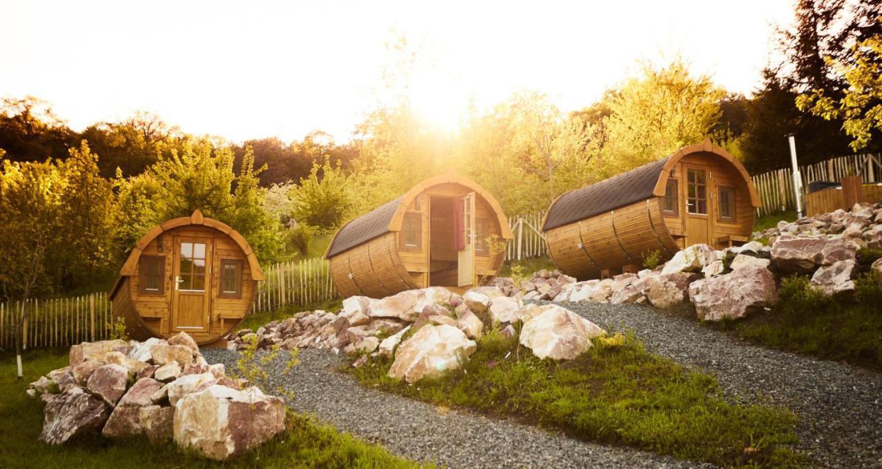 Complex Butoaiele Transilvaniei - Cazare & Spa - Natura - Relaxare Medias Luaran gambar