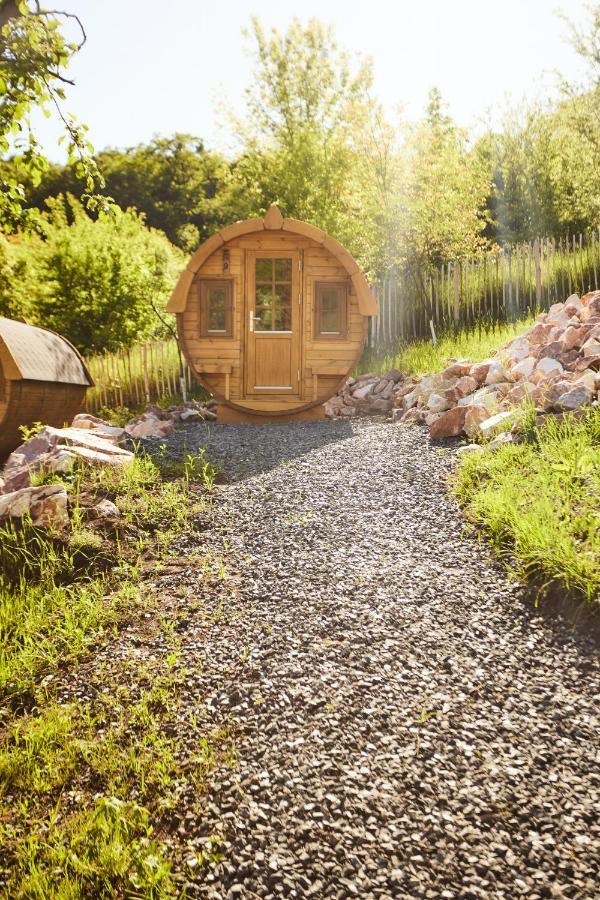 Complex Butoaiele Transilvaniei - Cazare & Spa - Natura - Relaxare Medias Luaran gambar