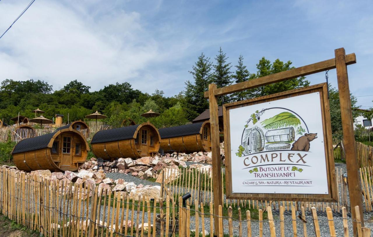 Complex Butoaiele Transilvaniei - Cazare & Spa - Natura - Relaxare Medias Luaran gambar